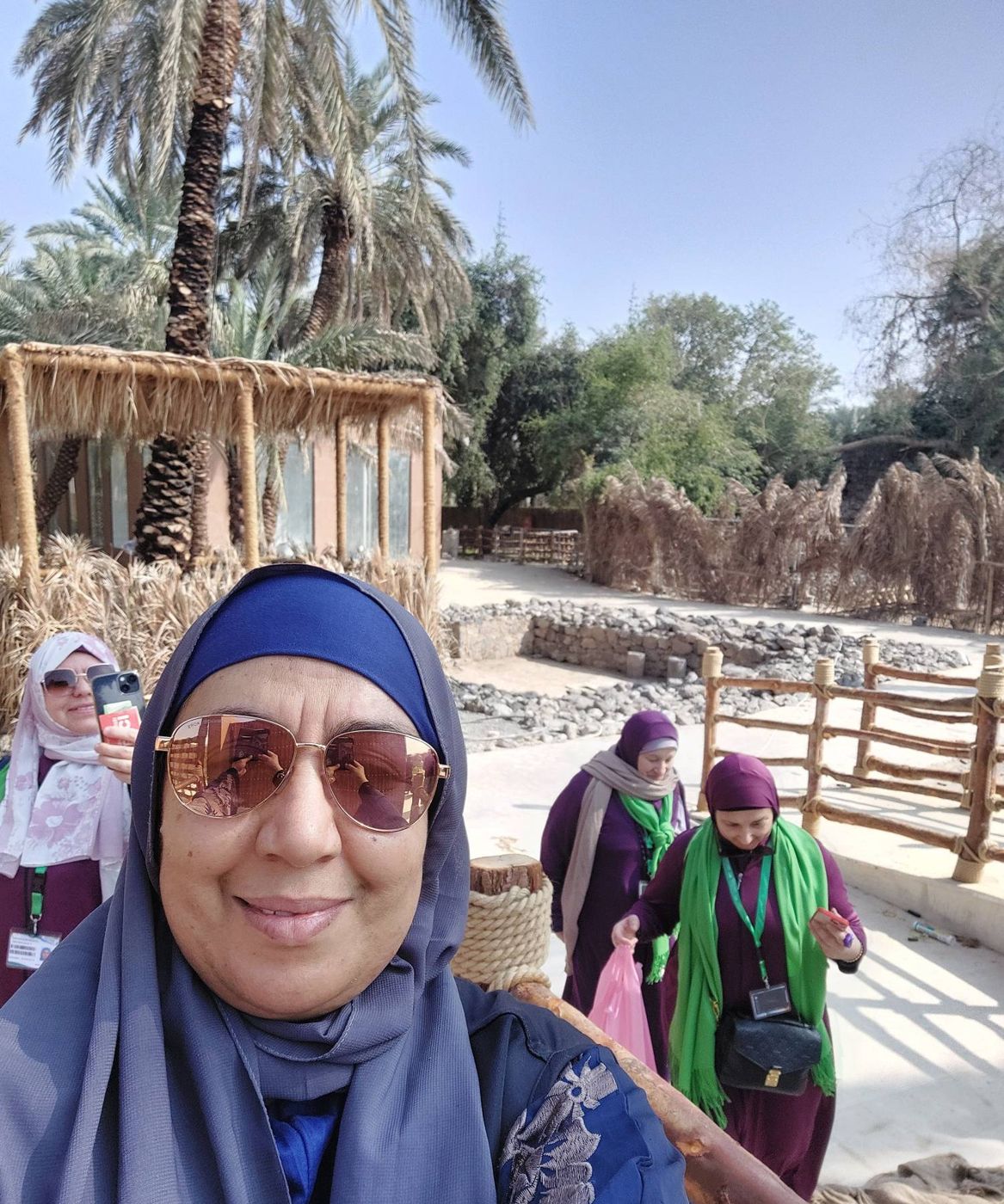 Arabie saoudite – Palmeraie, Médine